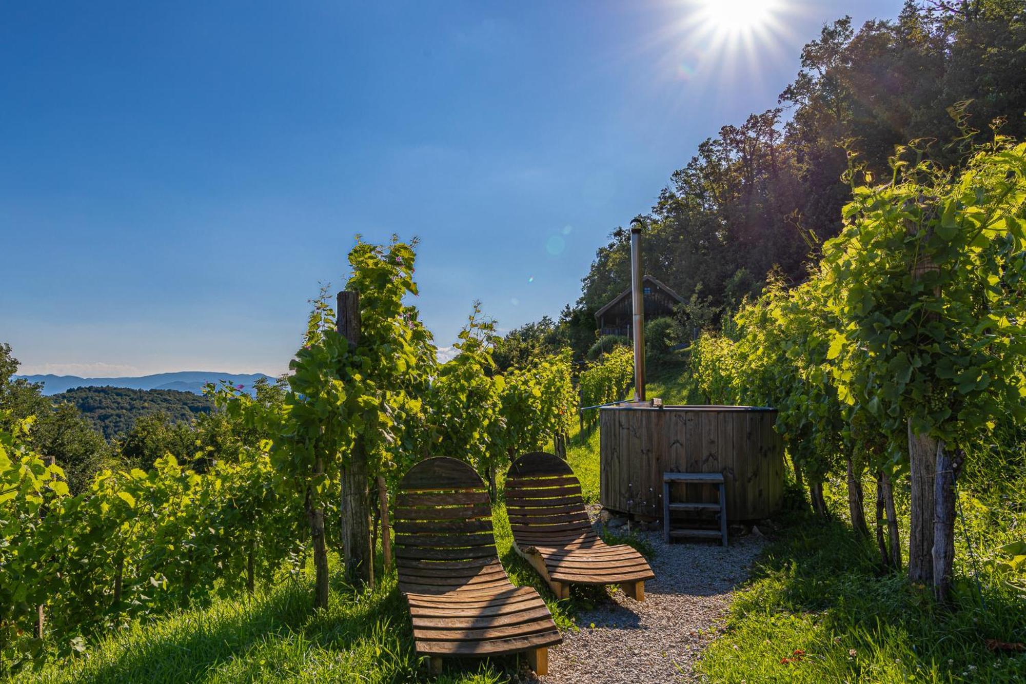 Vineyard Cottage Skatlar 3 Оточец Экстерьер фото